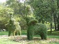 Pandas (061)